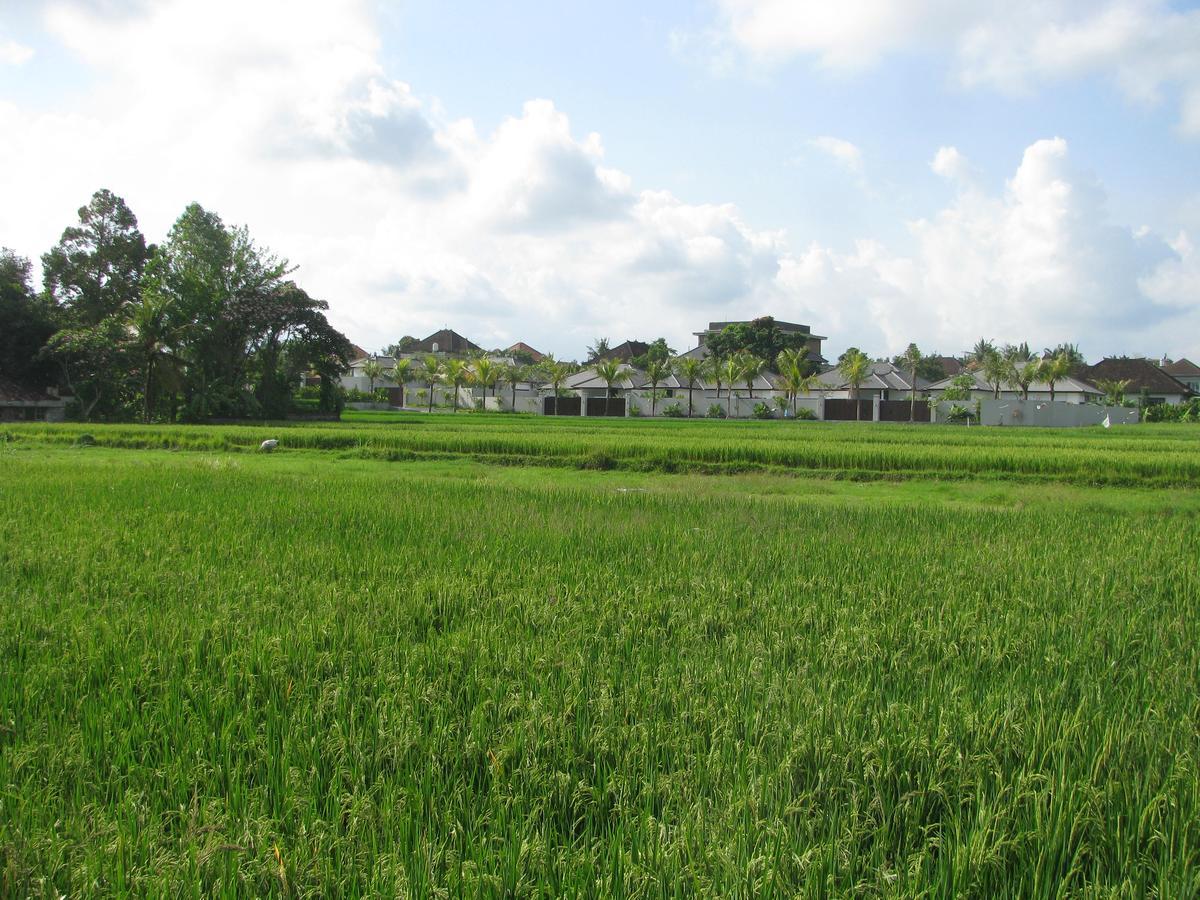 Pondok Mesari House ウブド エクステリア 写真
