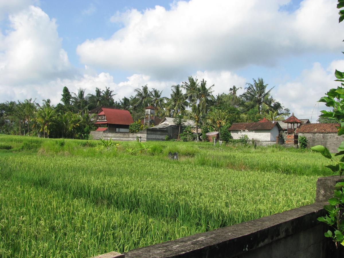Pondok Mesari House ウブド エクステリア 写真